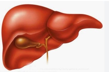 Triệu chứng và cách điều trị bài viêm gan b gan c của lão nhà quê và những lựa chọn phù hợp